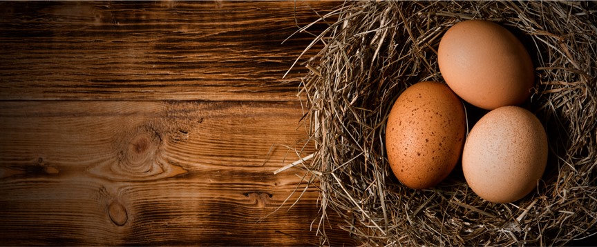 ChickenCoopheader